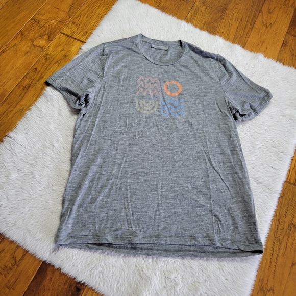 Icebreaker 100% Wool T-Shirt Shirt Men's Large Print Gray Short Sleeve - Picture 1 of 9